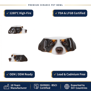 Bol pour animaux de compagnie en céramique de haute qualité pour Berger Berner, antidérapant, surélevé, design personnalisé, vente en gros, OEM, bols décoratifs - Product Image 1