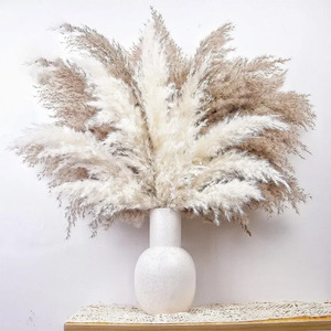 <span class=keywords><strong>Plumeau</strong></span> en plumes séchées de haute qualité, grand et moelleux, herbe de la pampa, roseau, écologique, vente en gros personnalisée à guichet unique, événements, style d'intérieur - Product Image 6