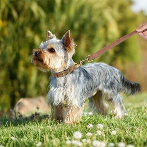 Collier pour chien en cuir PU souple marron et rose, robuste, réglable, vide, avec boucle métallique à dégagement rapide, vente en gros OEM - Product Image 3