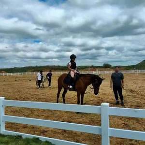 Valla de caballo de PVC con protección UV 100% de alta calidad, tablero de barandilla ecuestre de Metal duradero, pedido mínimo de 1kg - Product Image 2