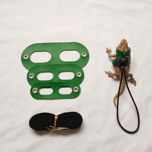 Ensemble de harnais et de laisse pour reptiles en cuir, harnais pour lézards, harnais pour agame barbu, harnais pour dragon, ensemble de laisse de traction avec ailes - Product Image 2