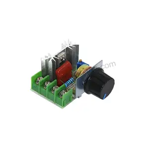 Jeking modulo regolatore di tensione elettronico ad alta potenza SCR importato da 2000W