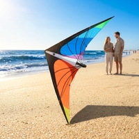 SUNEYE SEF17 Zhejiang Kite 2.4m Dual-Line Polyester Fabric Durable Stunt Sports Soaring Swallow Ready Fly Adults Freestyle 30m