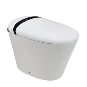 CHAUDE Automatique Céramique Autonettoyant Salle De Bains Intelligent Toilette Sanitaire Commodes WC Smart Bidet Toilette