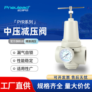 Válvula Reductora de Presión Pneulead de 1/4 Pulgada, Válvula Reguladora de Presión Media para Gas, para Fuente de Aire - Product Image 4