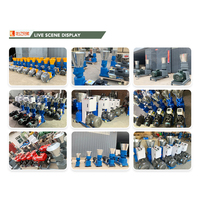Nueva Máquina Automática para Producción de Pellets, Conjunto Completo de Equipos de Acero Inoxidable, Venta Directa de Fábrica