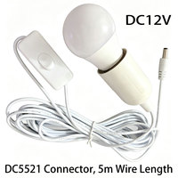 Ampoule LED 12V pour usage extérieur avec câble de 5 m, prise DC5521, interrupteur marche/arrêt, crochet métallique pour un accrochage facile