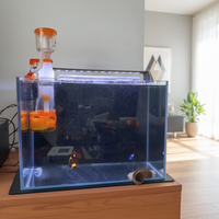 Épurateur de protéines interne silencieux avec fractionateur de mousse, mini filtre pour aquarium marin, pour la purification de l'eau des aquariums marins
