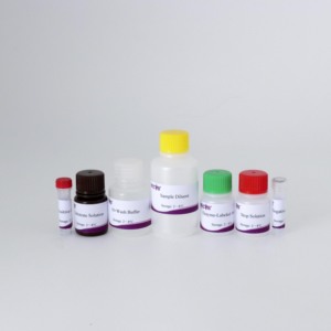 PRRSV Monoclonal Antibody Competitive ELISA <strong>Kit</strong> for Swine Reproductive and Respiratory Syndrome Virus Detection - Product Image 6