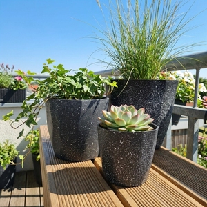 Macetas de Plástico Coloridas de Forma Octogonal, Macetas de Interior para Escritorio, Diseño Moderno y Minimalista para Cactus, Tamaño Mediano - Product Image 5