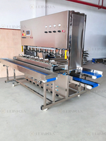 Industriële 1 T/h Fruitverwerkingsmachine Appel Sinaasappel Peer Peeling Sortering Lucht Drogen Mango Schilmachine