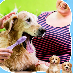 Cepillo de Limpieza 360° Ecológico de Guangdong para Dientes de Perros, Silicona de Grado Alimenticio, Se Adapta a la Mayoría de los Dedos - Product Image 1