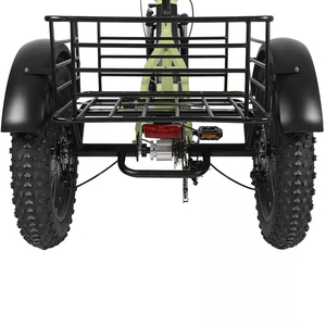 Bici elettrica elettrica da carico per adulti a tre ruote con triciclo elettrico a 3 ruote