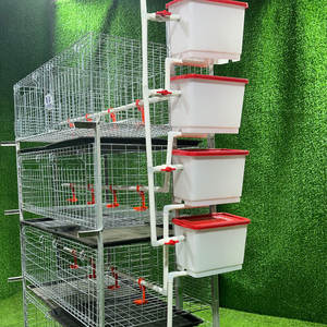 Sistem peralatan hewan Broiler otomatis tipe H 4 tumpuk 500 burung baterai galvanis kandang ayam lapisan peternakan unggas - Product Image 4