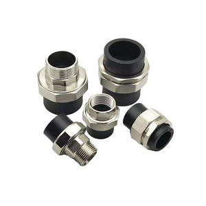 Tùy chỉnh PE Ống Công Đoàn kết nối-20-110mm với đồng/sắt chủ đề PE phụ kiện đường ống <span class=keywords><strong>HDPE</strong></span> - Product Image 5