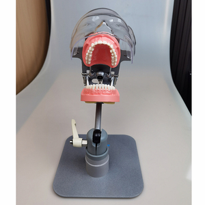 Simulador dental de mesa Phantom Head Dental Foshan - Product Image 4