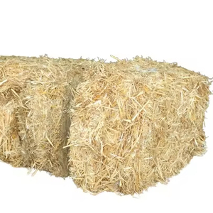 Alimento para animales de heno de paja de trigo Premium de alta calidad para ganado y caballos - Product Image 1