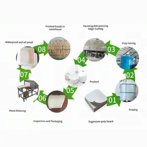 Cuenco de papel biodegradable, bandeja de bagazo, máquina de fabricación de platos desechables respetuosa con el medio ambiente