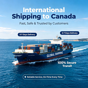 Agente di Spedizioni Aeree Cina India <span class=keywords><strong>Pakistan</strong></span> <span class=keywords><strong>Sri</strong></span> <span class=keywords><strong>Lanka</strong></span> Servizio Porta a Porta DDP (Azienda di Logistica) Prezzo Vantaggioso Economico - Product Image 5