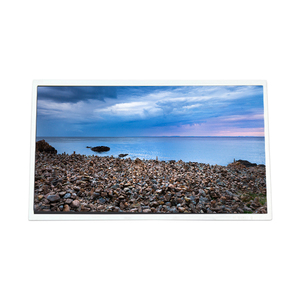 Écran LCD professionnel G190ETN01.600 de 19,0 pouces, module d'écran TFT LCD 1280*1024 - Product Image 1