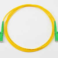Kabel Patch Fiber Optik Multi Mode Orange LSZH 3.0 SM9/125 OS2 E2000/APC DX untuk Jaringan FTTH/IP Panjang 1m-3km Transmisi 0-3km