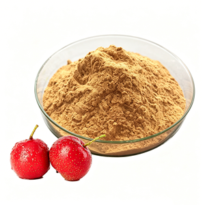 Polvo de Espino Blanco Premium 100% Natural Puro <span class=keywords><strong>Crataegus</strong></span> Grado Alimenticio 80-200 Mallas para Té y Repostería Venta al por Mayor OEM - Product Image 4