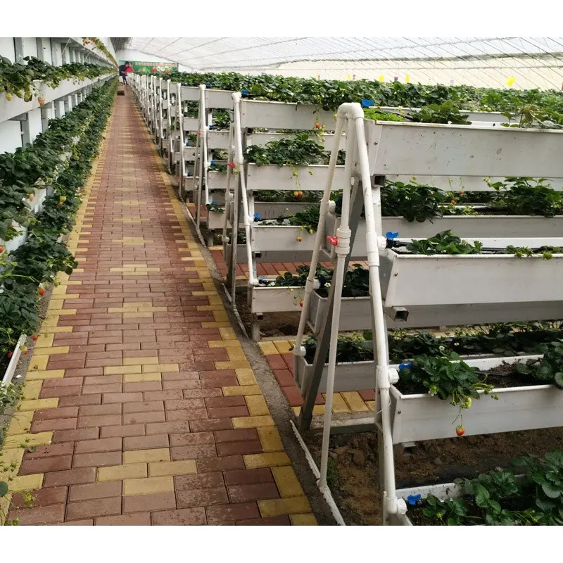 Прямая поставка с завода сельскохозяйственный Пластиковый садовый лоток для здоровых овощей и фруктов