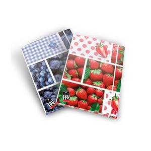 PIGNA - Carpeta de frutas surtidas con 3 solapas A4 y lomo de 1.2 cm - Product Image 1