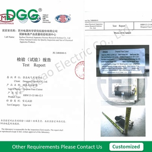 Dgg cấu trúc tùy biến chất lượng cao thả cầu chì cutout ngắt kết nối cầu chì cao & trung thế cầu chì với loại thử nghiệm - Product Image 3