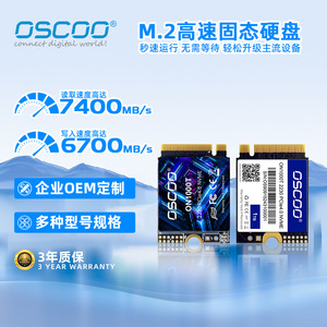DSCDD OM1000T 2230 PCIe4.0 NVMe 1TB SSD For Gaming Laptop Expansion - Product Image 2