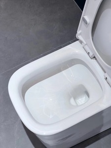 Thiết kế sang trọng Thiết bị vệ sinh chậu vệ sinh nhà vệ sinh gốm <span class=keywords><strong>WC</strong></span> nhà vệ sinh bát phòng tắm nhà vệ sinh - Product Image 5