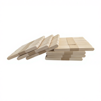 Bâtonnets de crème glacée en bois de bouleau personnalisés, flexibles, jetables et écologiques, vente en gros