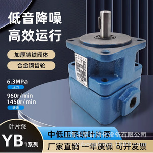 Bomba de aceite de paletas Yb1, bomba hidráulica de unidad simple o doble Yb1 6 10 16 4 20 25 40 50 80 100 - Product Image 4