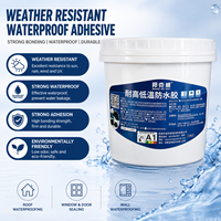 Revêtement imperméable résistant aux intempéries à base d'eau, peinture protectrice haute performance pour toiture, mur extérieur et béton