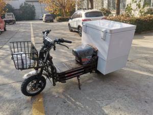 Mini <span class=keywords><strong>chambre</strong></span> froide portable 128L DC24V, boîte de livraison réfrigérée pour crème glacée, fruits de mer, boîte réfrigérée pour moto pour aliments - Product Image 6