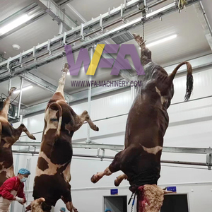 Machine d'abattage de bétail halal personnalisée de petite taille, ligne d'abattage de 30 bovins, équipement de <span class=keywords><strong>boucherie</strong></span> de bœuf - Product Image 1