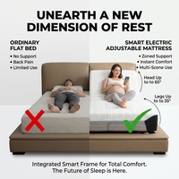 Cama Inteligente Ajustable al por Mayor, Control por App y Posición de Memoria, Motor Silencioso OKIN, Personalización OEM ODM, Probada hasta 300KG, para Proyectos Hoteleros