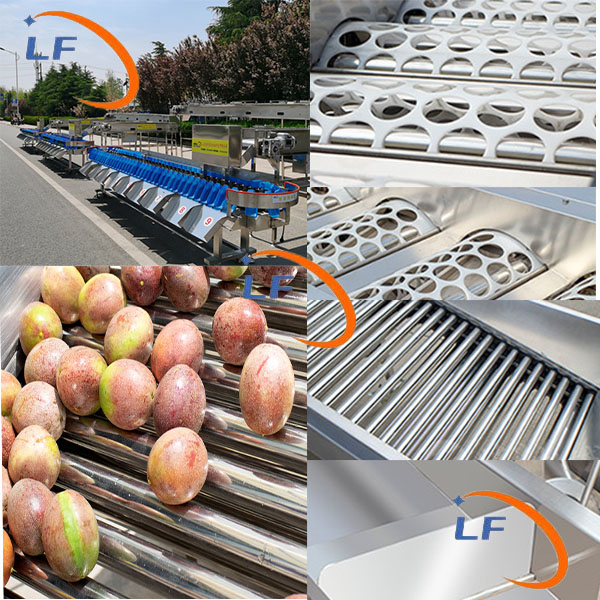 Industrial Tomato Lemon Orange Fruit Grader/Automatic