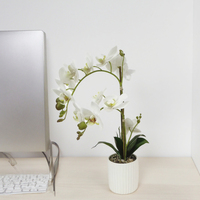Fleur artificielle en pot en gros, couleur blanche, décoration intérieure et extérieure, orchidée personnalisable pour mariage