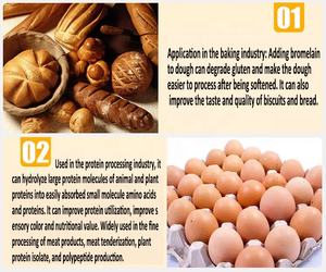 Gıda sınıfı doğal Bromelain enzim tozu ananas özü gıda işleme ve güzellik, gibi Tenderizers ve eksfoliye, vb. - Product Image 4