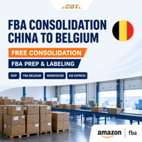 Führendes Speditionsunternehmen China nach USA UK Kanada Australien Deutschland DDP Tür-zu-Tür FBA Amazon Logistikservice Stabile Fluggünstige