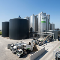 Digesteur de biogaz à grande échelle en acier au carbone Q355B, réacteur de 5000 m³ avec cuve automatique en verre doublée, boulonnée, anti-corrosion, sur mesure