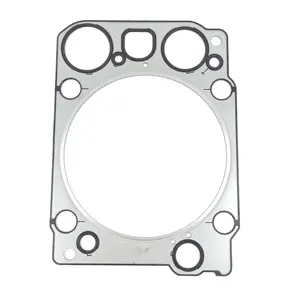 Cylinder Head Gasket 541 016 13 20 066.722 El Ring Parts Cylinder Head Gasket Kit For Merc Edes-Be Nz ACT ROS MP 2 / M P3