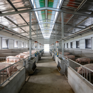 Casa de Cerdos Prefabricada de Acero Galvanizado en Caliente Personalizada, Edificio Modular para Granja, Nave para Ganado Porcino en Venta - Product Image 1
