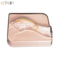 Dispositif de formation de simulation de guidage du stérilet à anneau vaginal pour contraception féminine