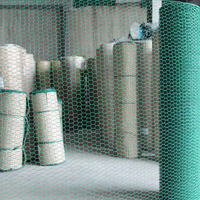 Grillage en fer galvanisé hexagonal de calibre 12 filet PVC enduit pour volières d'oiseaux poulaillers Gabions
