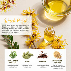 Nuevo Witch Hazel Camellia Oil Champú para el cuidado del cuero cabelludo Anticaspa Anti-Picazón <span class=keywords><strong>Sal</strong></span>ón <span class=keywords><strong>de</strong></span> spa en casa Cuidado del cabello Champú limpio Juego <span class=keywords><strong>de</strong></span> marca propia - Product Image 5