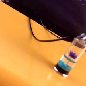 Bijoux de marque en collier inde toutes les couleurs fabricant dernière conception colliers perlés corne collier époxy pour femmes collier pendentif - Product Image 6