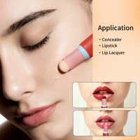 Tube cosmétique personnalisé avec applicateur éponge en peluche, tube vide pour gloss, anticernes, rouge à lèvres, emballage personnalisé avec impression de logo