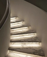 Escaliers de marbre intérieurs de villas de nouveau style marchent les escaliers incurvés avec la LED